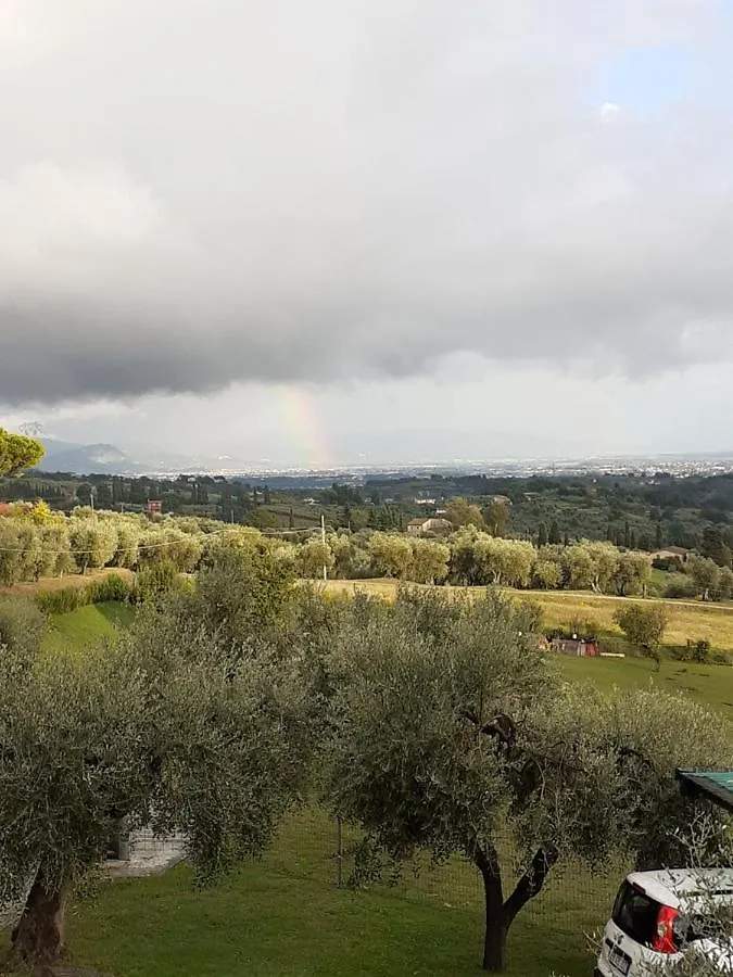 Holiday home Casa Musa Capannori Italy